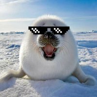 Focalol (@focalolyt) 's Twitter Profile