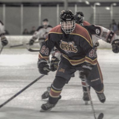 Southern Oregon Spartans🏒