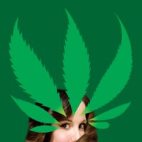 420🌳411(@420_411) 's Twitter Profile Photo