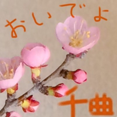 千曲市のことを呟きながら見た人に遊びに来るように強いる非公式botだよ。でも、まだ自動にできるほど情報がないから手動のゆっくり投稿だよ。