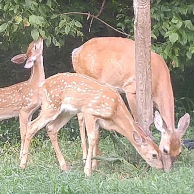 KBD801111's profile picture. 