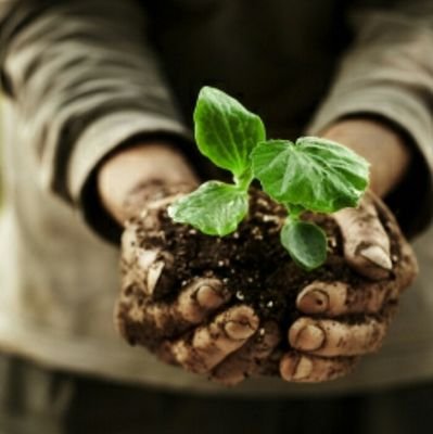 MASWAPONOCPUEDE's profile picture. 