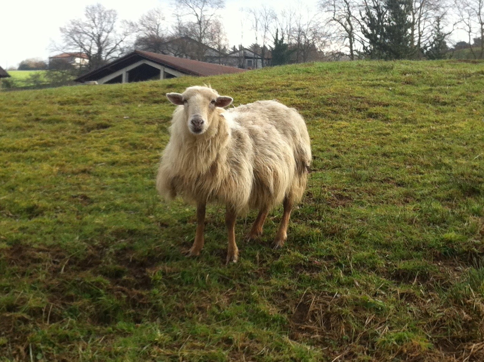 BTxebike's profile picture. Sé quiénes me sobran y a quiénes necesito.