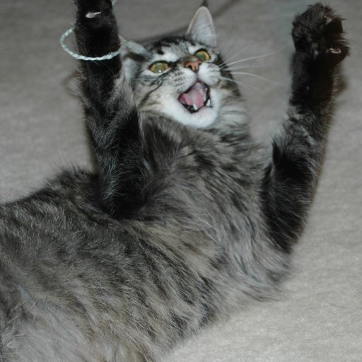 mookiy's profile picture. ADVENTURER. Seriously opinionated cat. Dinosaur aficionado. Pineapple fan. I badly stream random games on Twitch. Pronoun: pick a pronoun, stick with it.
