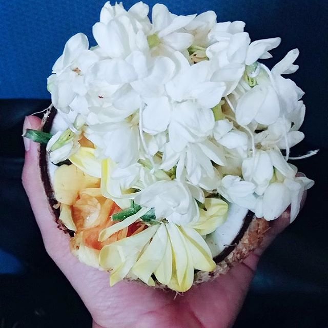 Anitha2508's profile picture. 