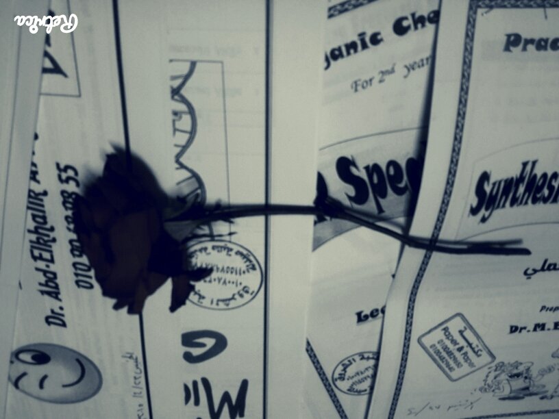 Dr_Zizi_Elshamy's profile picture. #fopum #smile :)