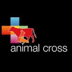 Ensemble, diminuons la souffrance animale.
#antispecisme  #animaux #antichasse #DroitAnimal #AnimalRights 📧contact@animal-cross.org