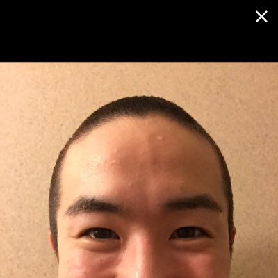 yuutaromeigen's profile picture. 