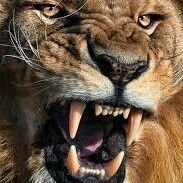 CiscoKid_6's profile picture.