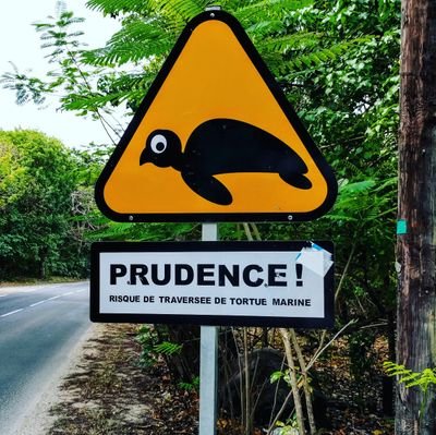 friskyLad's profile picture. Will Tweet for attention!