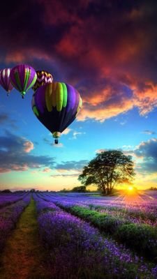 sanjeev_deaf's profile picture. Sanjeev.t Deaf