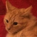 Jack March - @JackMarch2003 - Twitter