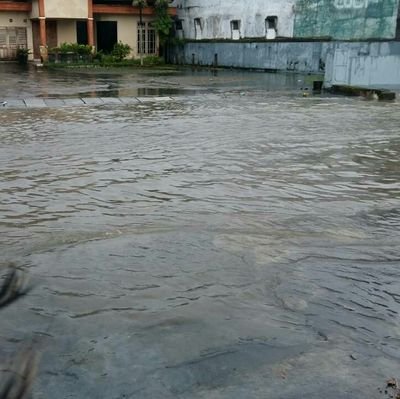 rezapertama1's profile picture. 