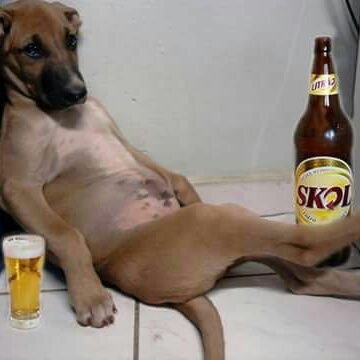 osmanma85319642's profile picture. 