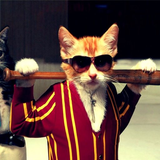 funzone39's profile picture. this is jahid hasan from dhaka bangladesh,i work on  funy and entertaining videos,i think everyone will like my job and i will get a good support from all.