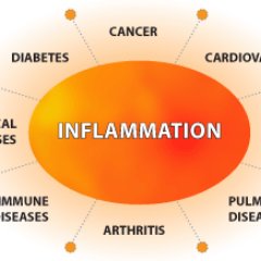 Towards an informed, biologically educated patient cohort for all autoimmune diseases. 
Particular focus on ME/CFS FM & EDS .  autoimmunityworldwide@gmail.com