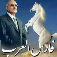التبع اليماني عفاش (@afasha977) Twitter profile photo