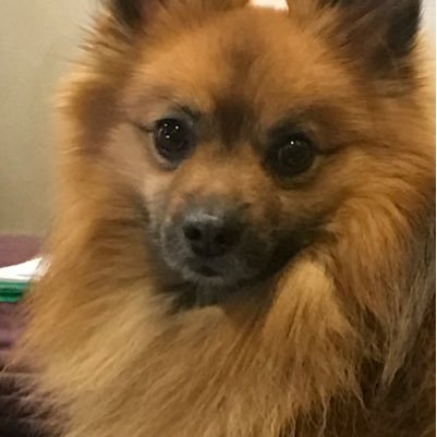 bobara2004's profile picture. 