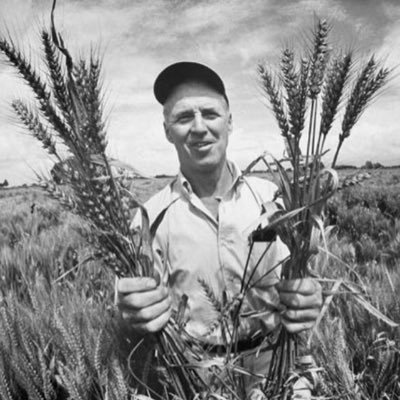 Father of the Green Revolution. Nobel Peace Prize Recipient. Biologist who researched ways to make farming easier for everyone.