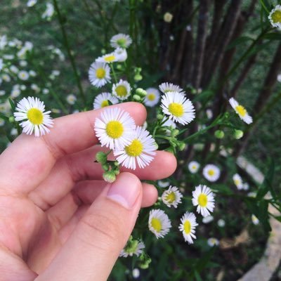 bear_fong's profile picture. park bo gum :-)