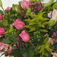 Atlee Horticulture (@atleehort) 's Twitter Profile