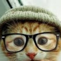 antongata 🇵🇸 💜💜💜🔻 (@antongata) 's Twitter Profile Photo antongata 🇵🇸 💜💜💜🔻 (@antongata) 's Twitter Profile Photo
