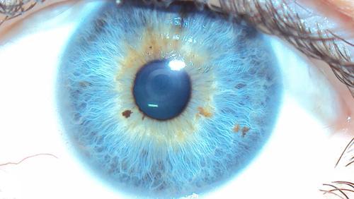 BERTAPACCIARELI's profile picture. 