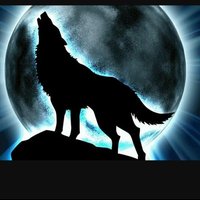Silent Wolf (@blkknight14) 's Twitter Profile Photo