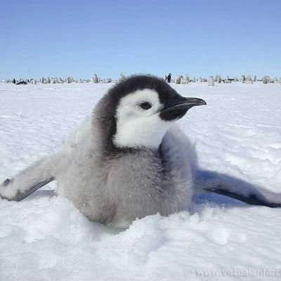 lunchmom73's profile picture. 