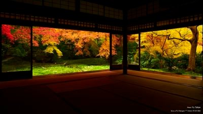 to13933240's profile picture. 