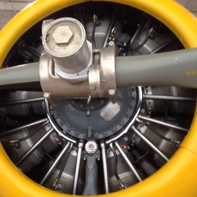 sjgough's profile picture. 