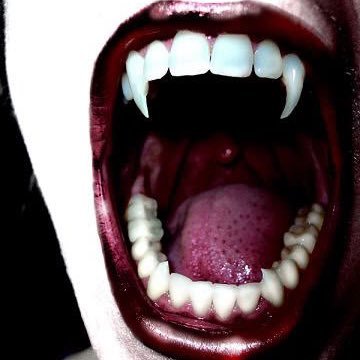 The only safe haven for a Supernatural. | DM to join; Taken in likes and lists. |