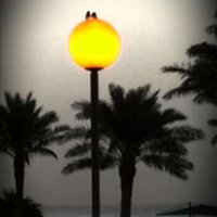 ناصر المبارك (@nasirna9) 's Twitter Profile