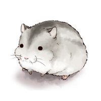はむこ (@hamko_intel) 's Twitter Profile