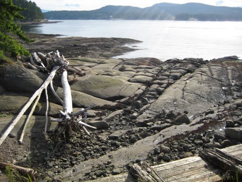 Developing a lively On-line Real estate search Hub for everyone in Vancouver. Not Live Yet!