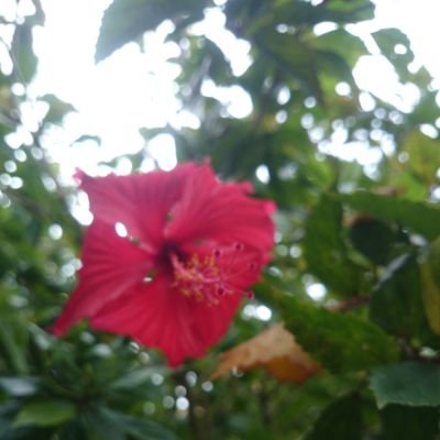 にゃむ汰さんのプロフィール画像