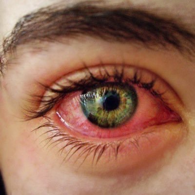 CarrollRalph's profile picture. yo