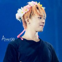 TENDER GD (@qyemono) 's Twitter Profile