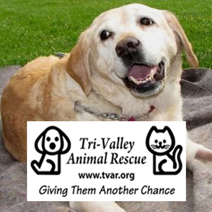 Tri-Valley Animal Rescue (TVAR) is a nonprofit, all volunteer organization whose mission is to end the unnecessary euthanasia of homeless animals.