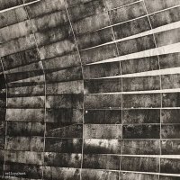 Cellarghost (@celeryghost) 's Twitter Profile