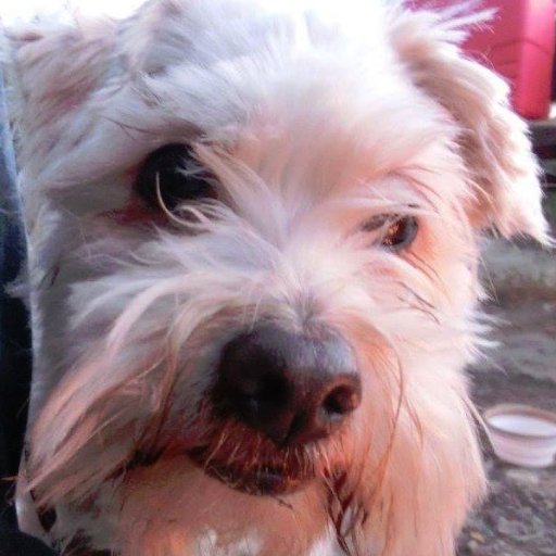 linan2332's profile picture. 