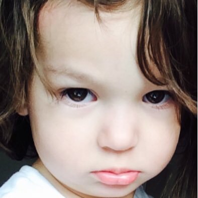 dilbert1975's profile picture. #Unbanked #TRUMP #REFORM #ENGLAND #CHRIST IS KING 🤴 🇬🇧🏴󠁧󠁢󠁥󠁮󠁧󠁿🏴󠁧󠁢󠁳󠁣󠁴󠁿🏴󠁧󠁢󠁷󠁬󠁳󠁿🇮🇪