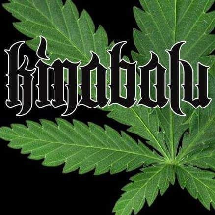 kk_kush420's profile picture. Facebook @kkush420brands
Telegram https://t.co/10JXlLL42x
WeedTube @kk_kush
https://t.co/rhcXoEd1wt