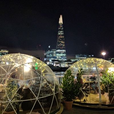 racheledibben's profile picture. 