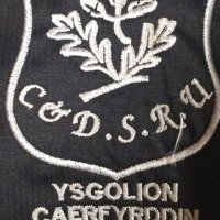 Ysgolion Caerfyrddin Dan 11(@CfyrddinDan11) 's Twitter Profile Photo