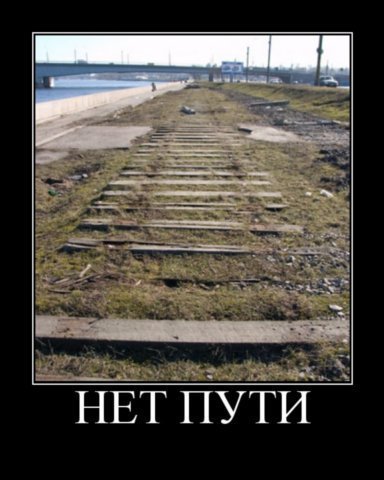 akashihi's profile picture. 