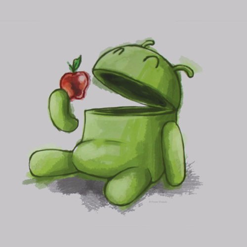 andruidroid's profile picture. Android developer