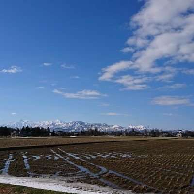 kizwit's profile picture. 人生半ば。
あと50年、頑張ります。