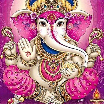 zokan97's profile picture. Estoy aquí