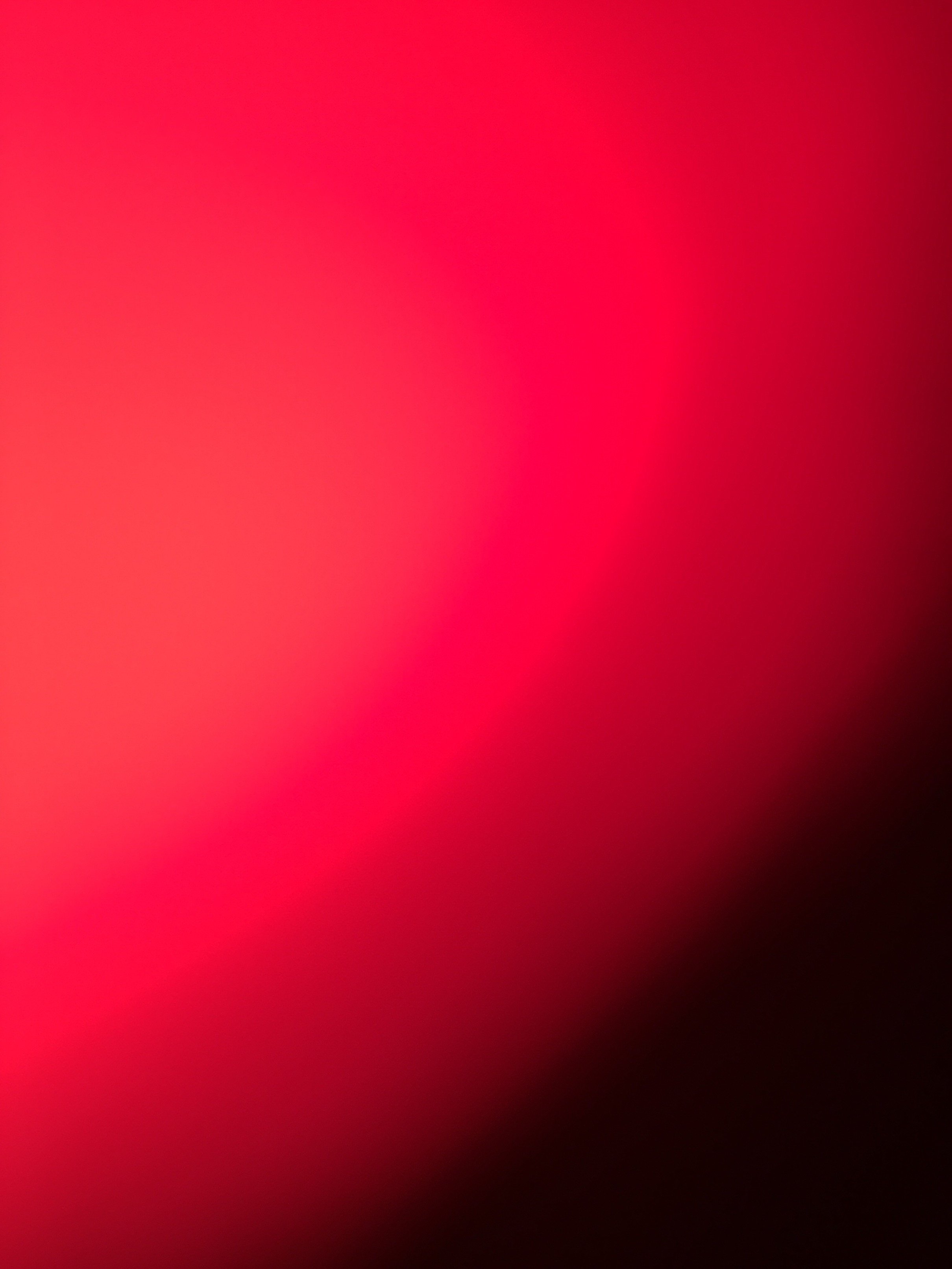 xanngeee's profile picture. been a real 1 & im still 1